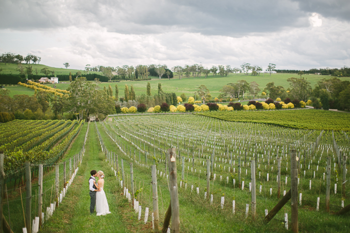 young-love-vineyard-wedding