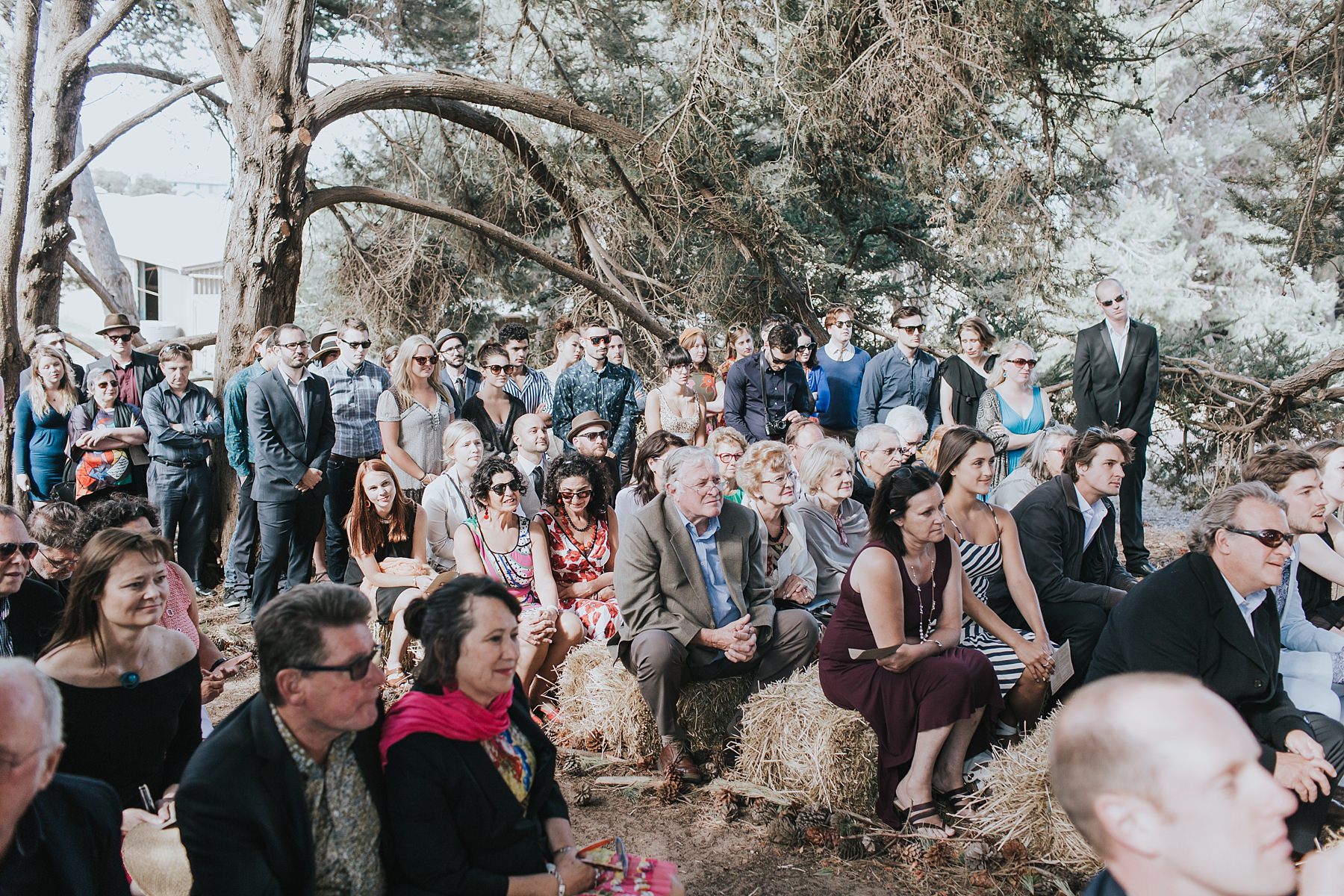 guests seated at a farm wedding