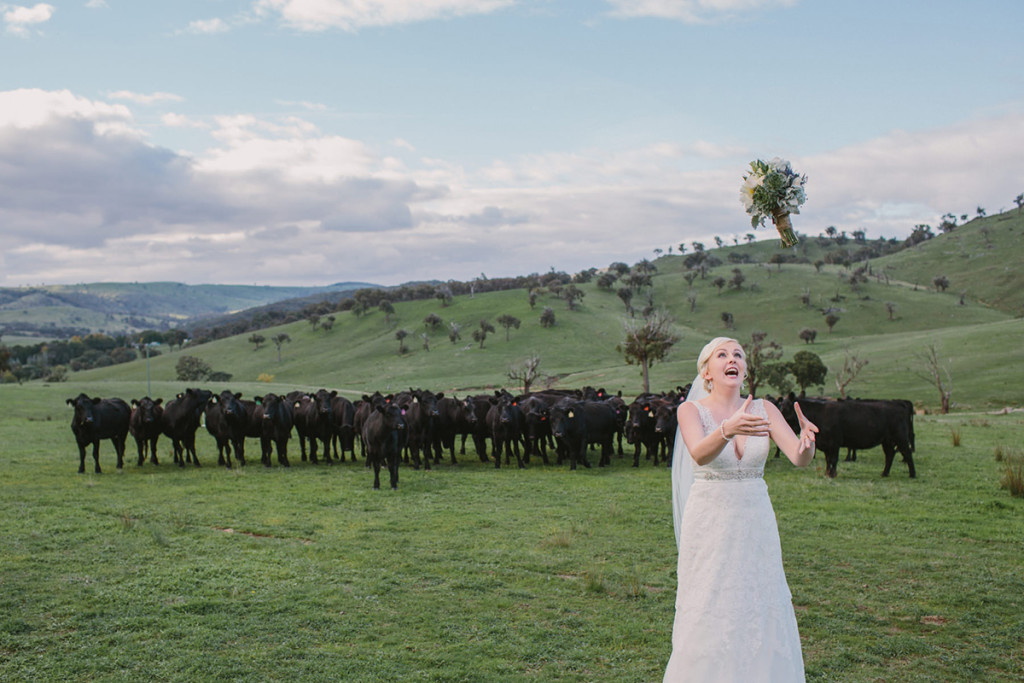 049-southern-highlands-bride-tossing-the-bouquet-to-the-cows