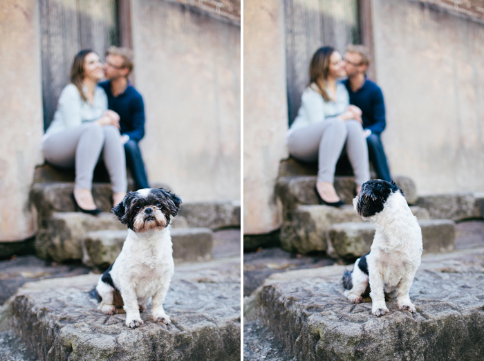 cute-dog-engagement-photos