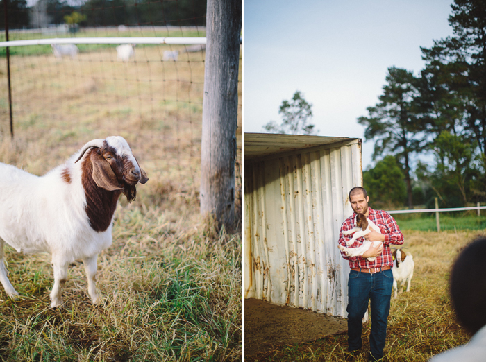 farm-engagement-session-goats