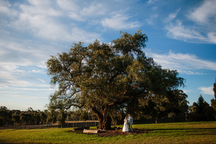 under-a-tree-with-bride-and-groom