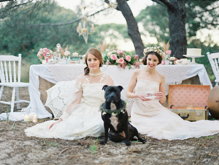 bride-and-dog