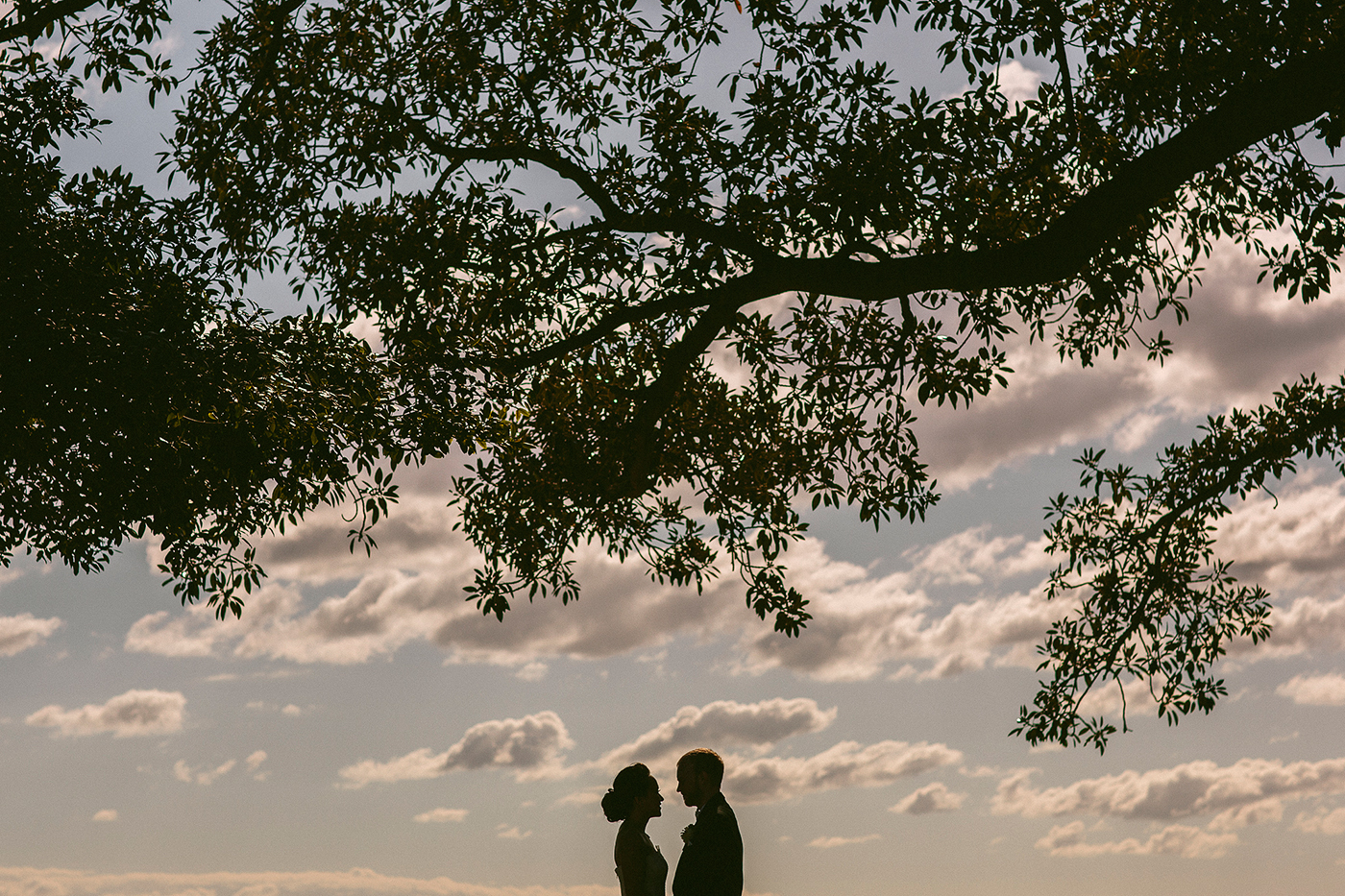 observatory-park-sydney-wedding