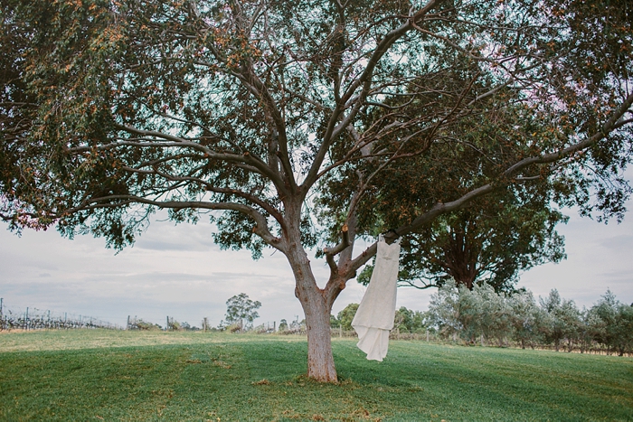 wedding gown in the tree at the wandin