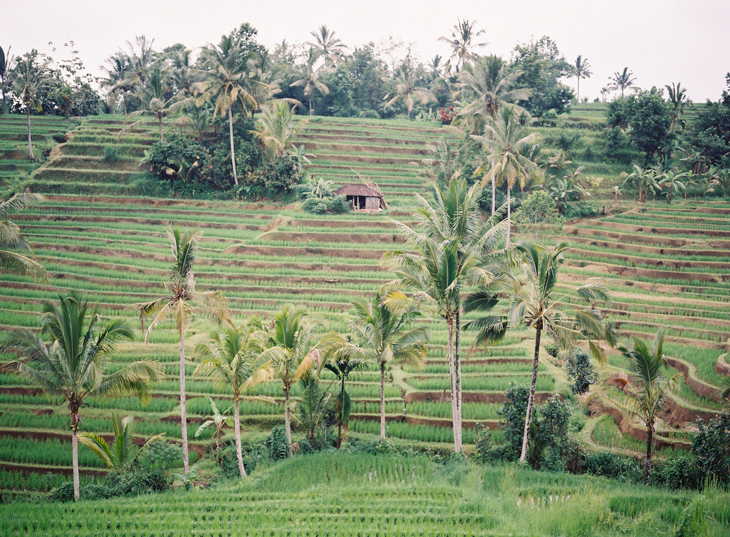 beautiful landscapes in bali for wedding
