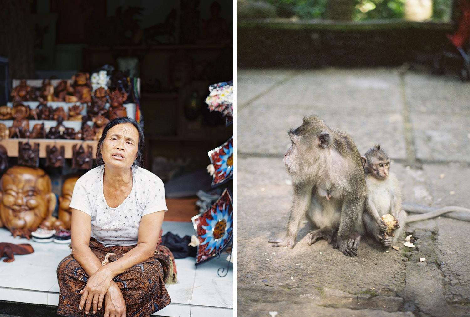 ubud monkey forest photography