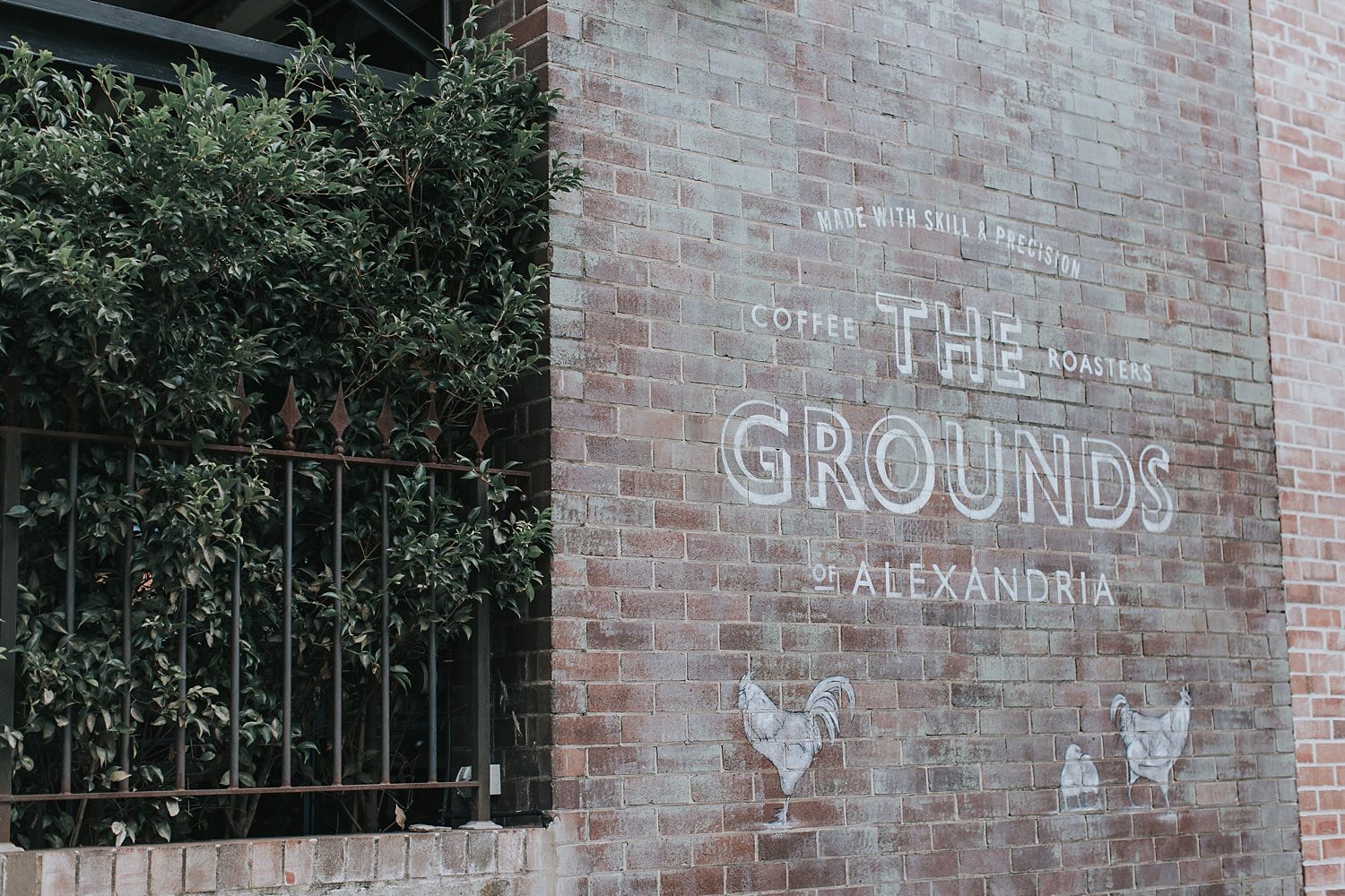 the grounds of alexandria outside hunter st