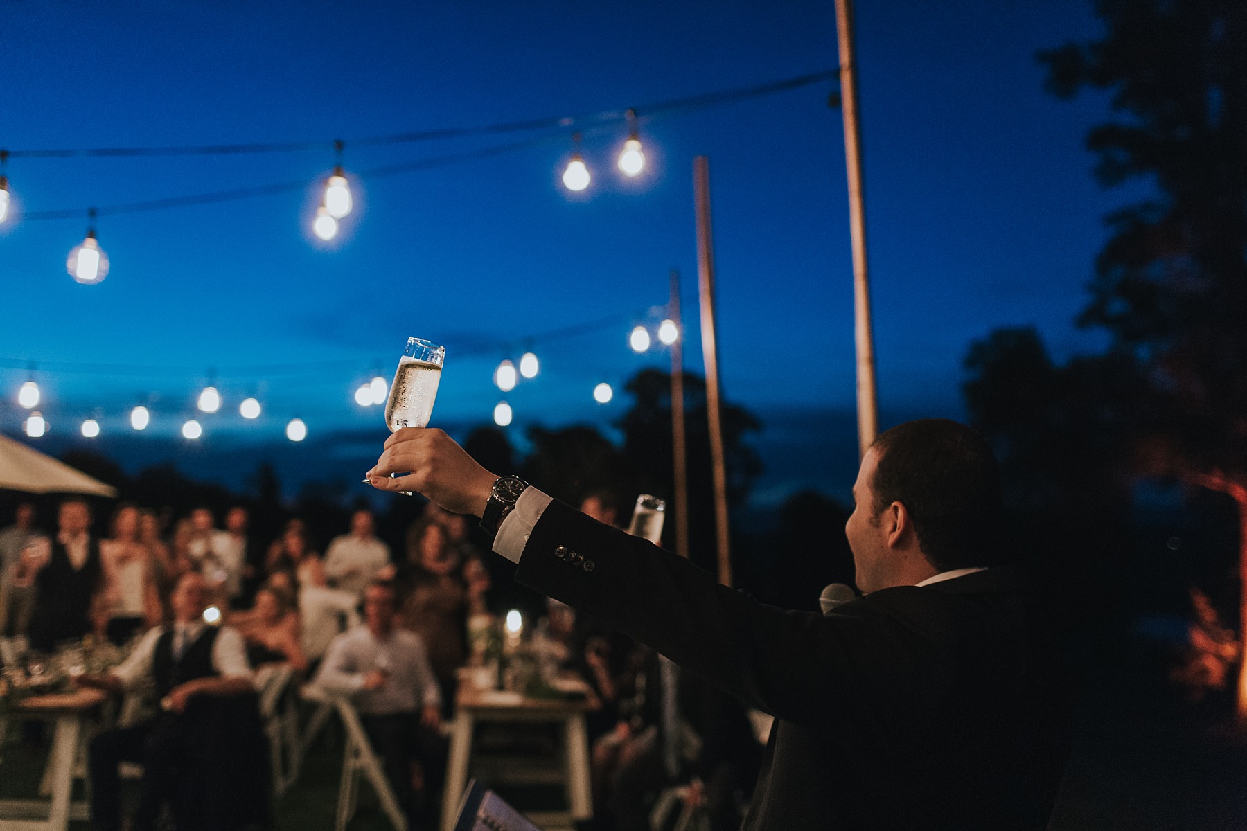 toast at wedding reception