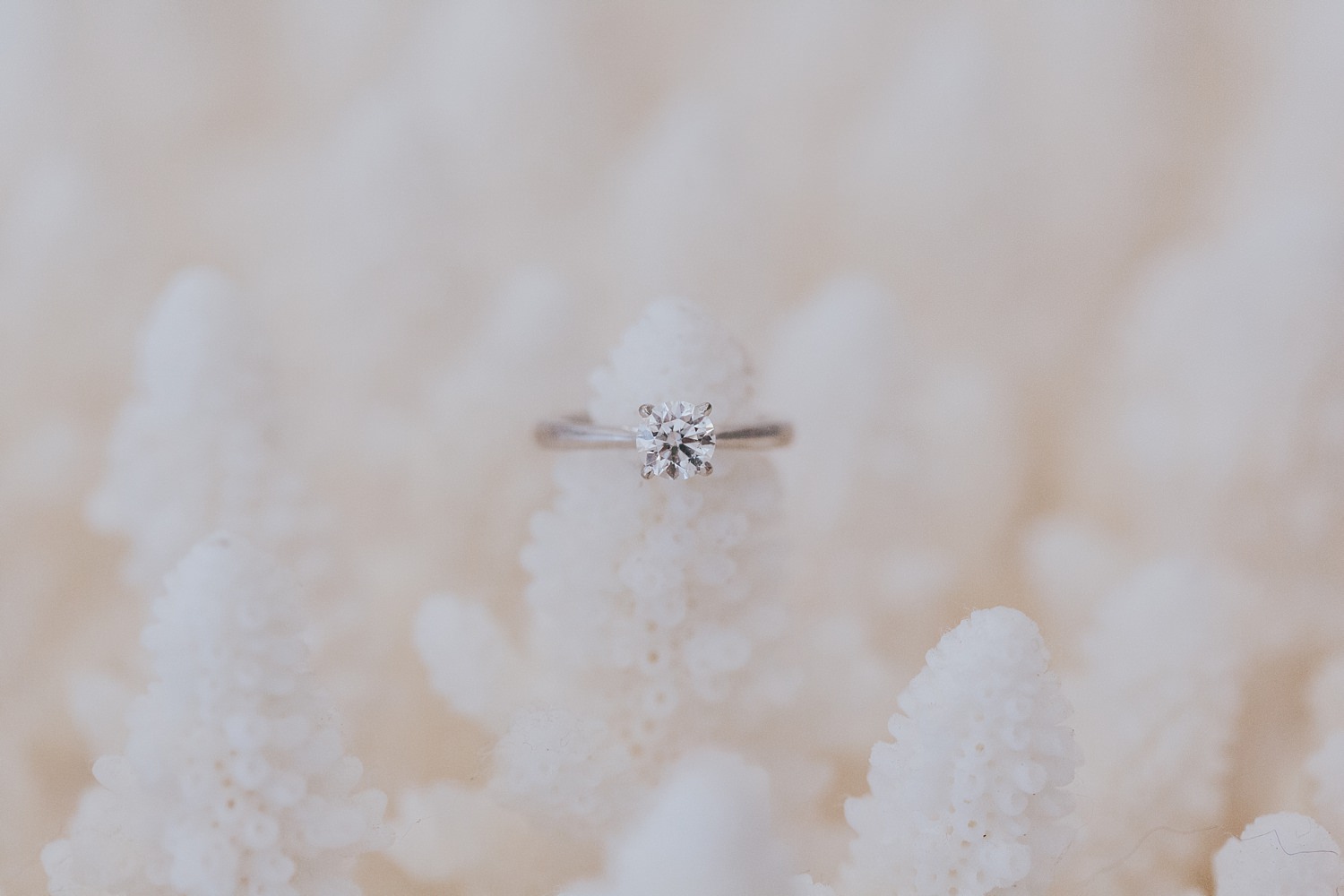 engagement diamond ring 
