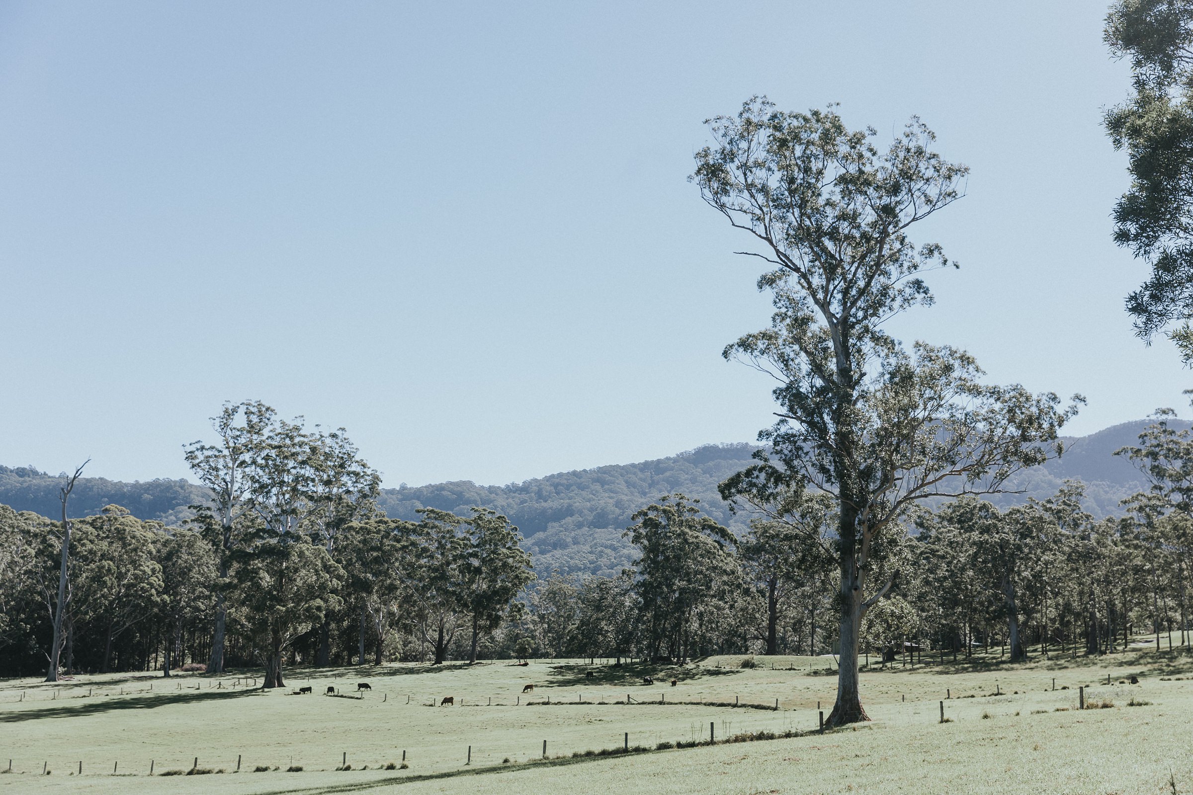 broughton vale scenery for wedding day portraits